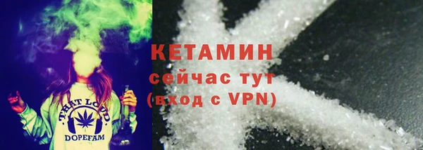 индика Новокубанск