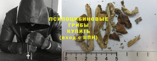 ECSTASY Новозыбков