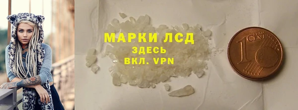 индика Новокубанск