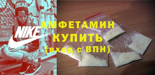 индика Новокубанск