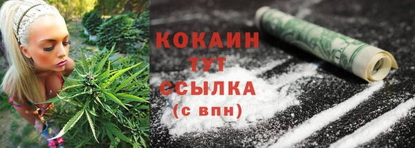 индика Новокубанск
