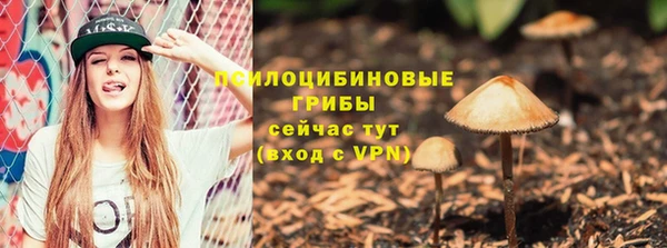 индика Новокубанск