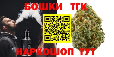 крисы Абакан