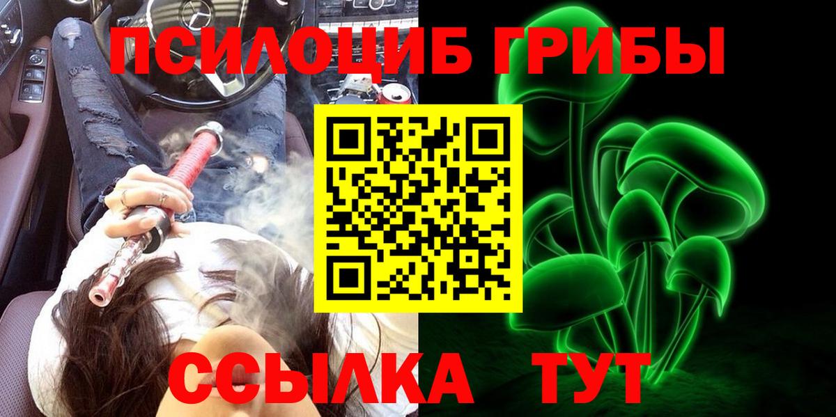 Псилоцибиновые грибы Magic Shrooms Губкинский