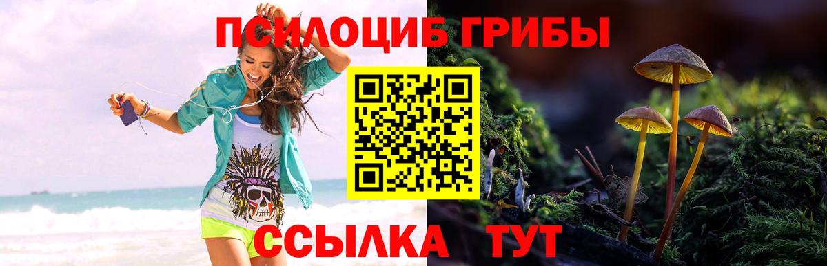 Губкинский  Галлюциногенные грибы Magic Shrooms  Вход с VPN 