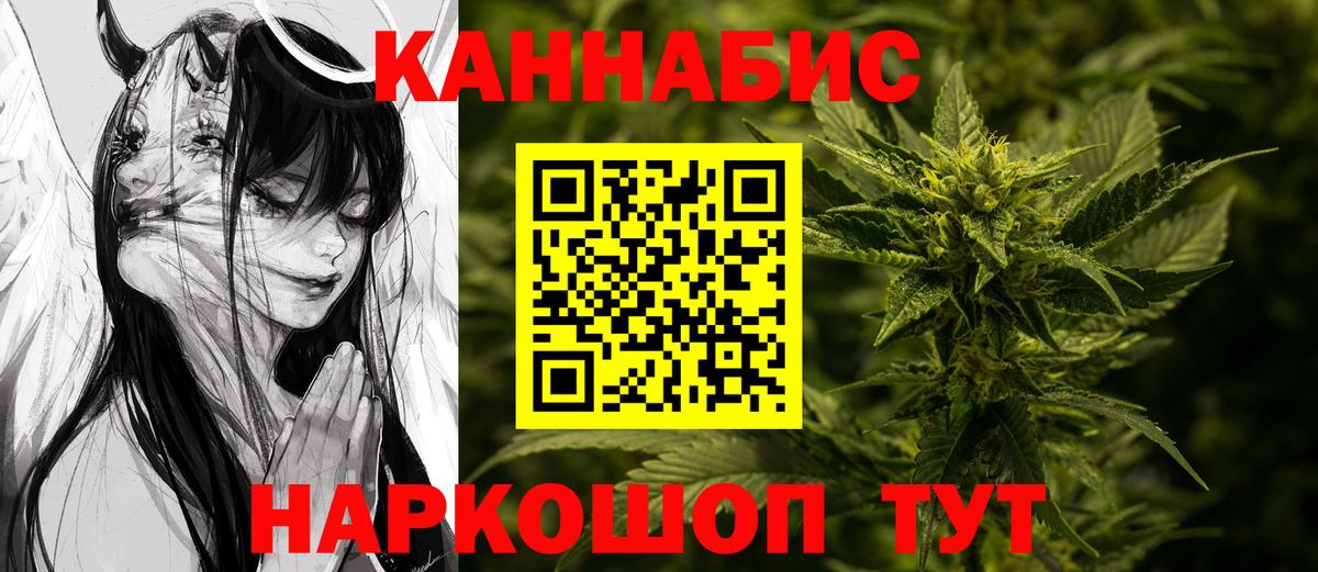 Каннабис планчик Губкинский